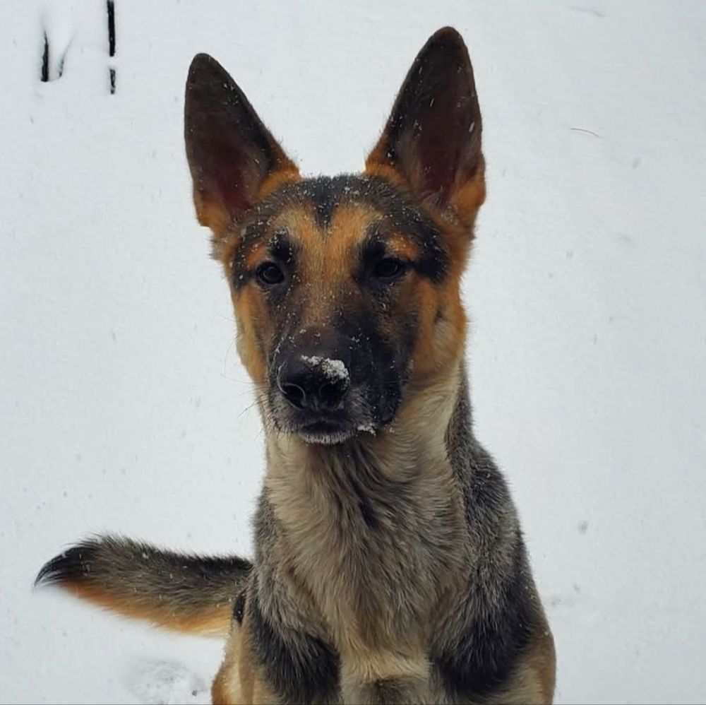 Thread of Hope ✨ Poshmark Top Seller! ✨ - Picture 5 of 7